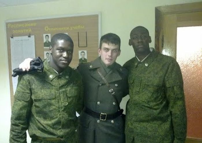 Порция картинок