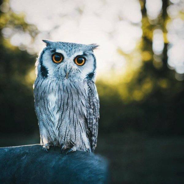 Фото, на которые приятно взглянуть