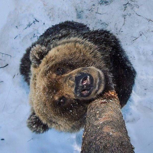 Фото, на которые приятно взглянуть
