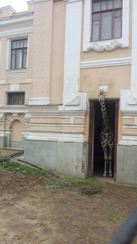 Прикольные картинки