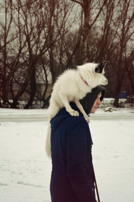 Прикольные картинки