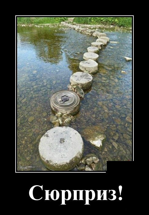 Демотиваторы