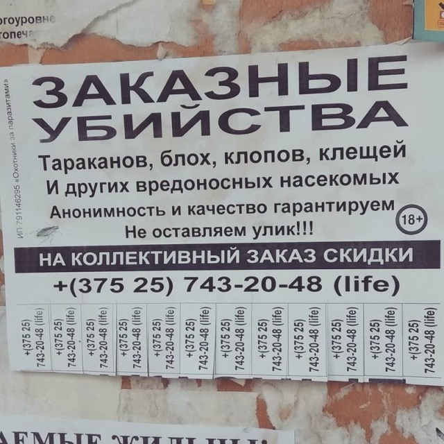 Креативные объявления и забавные надписи