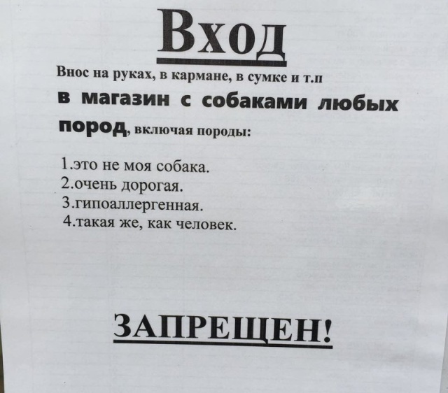 Креативные объявления и забавные надписи