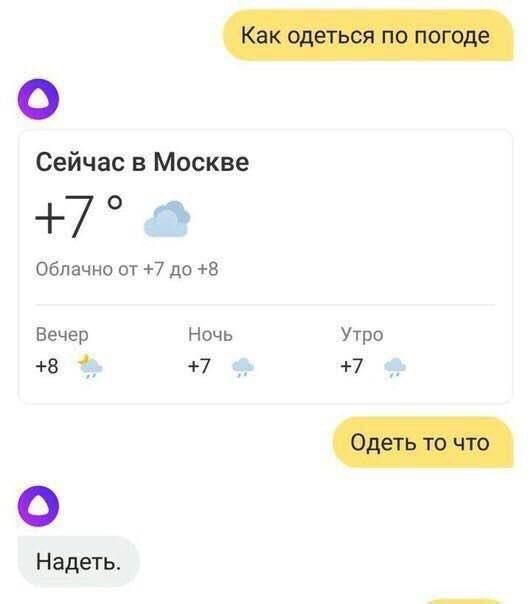 Прикольные картинки