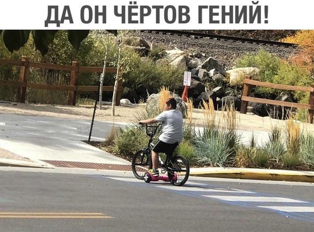 Прикольные картинки