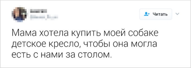 Пользователи сети делятся своими забавными семейными историями