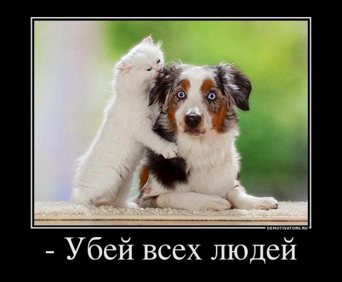 Демотиваторы