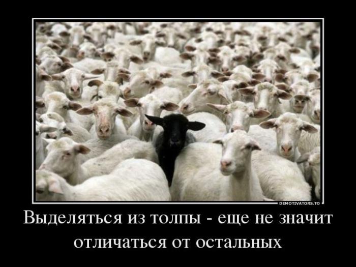 Демотиваторы