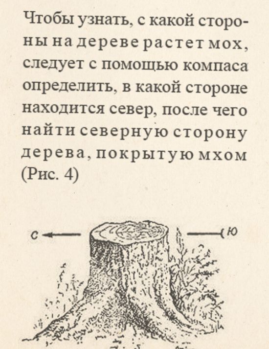 Порция картинок