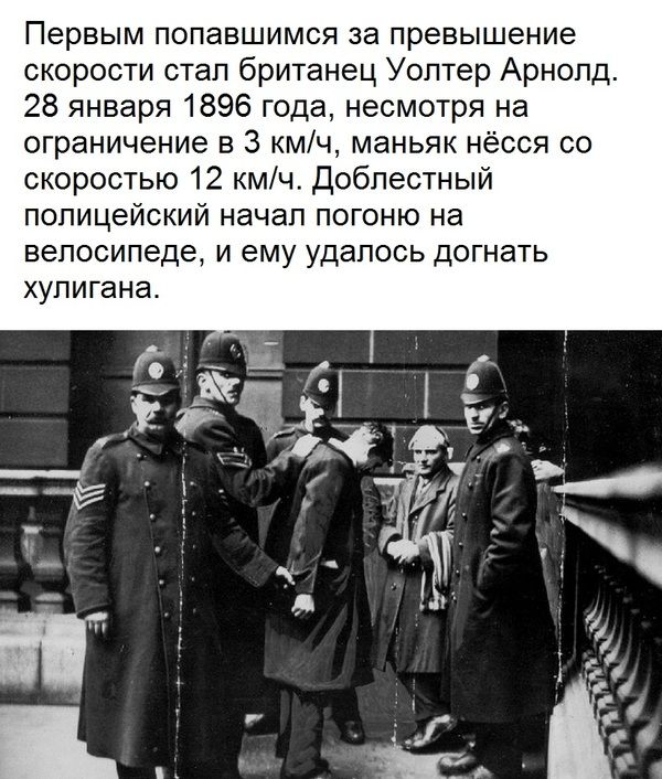 Порция картинок