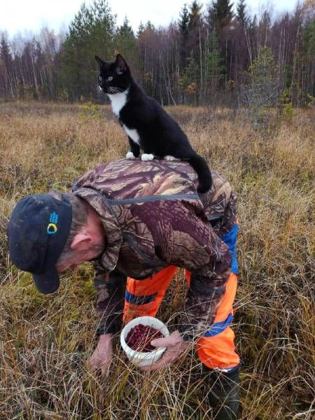 Прикольные картинки