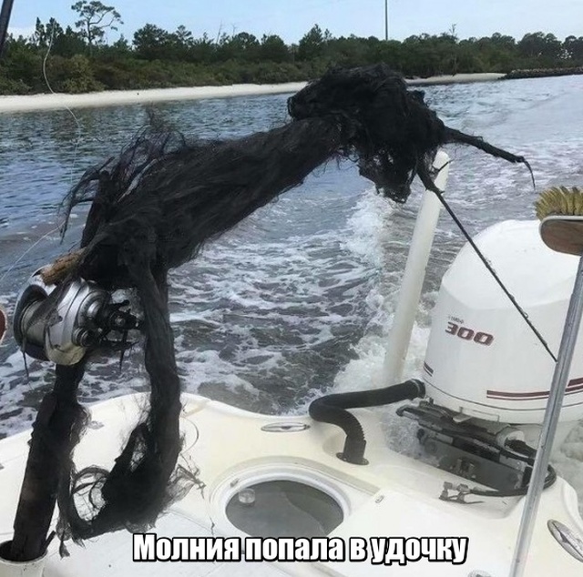 Мир никогда не прекратит удивлять нас