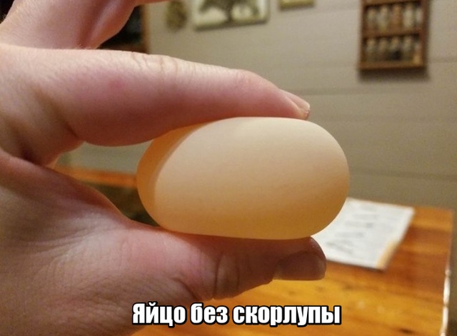 Мир никогда не прекратит удивлять нас