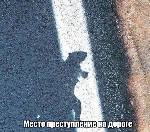 Мир никогда не прекратит удивлять нас