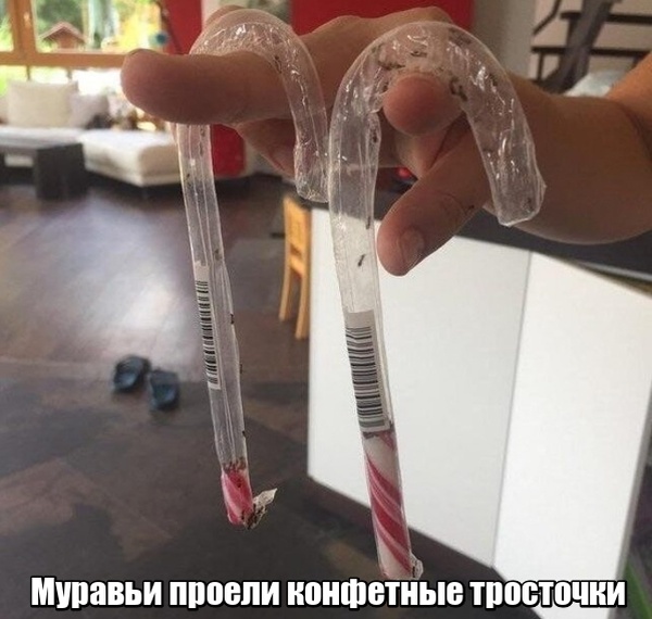 Мир никогда не прекратит удивлять нас