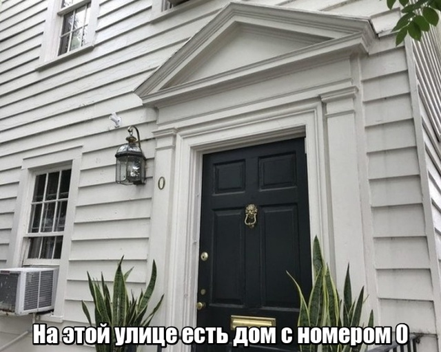 Мир никогда не прекратит удивлять нас