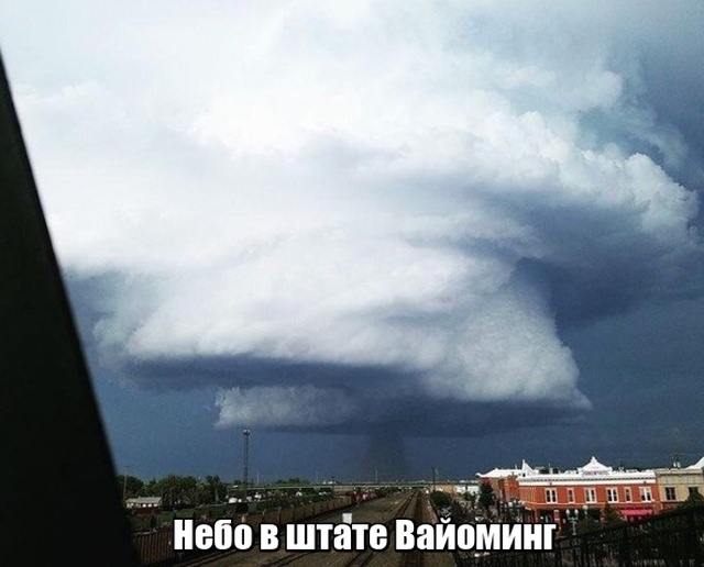 Мир никогда не прекратит удивлять нас