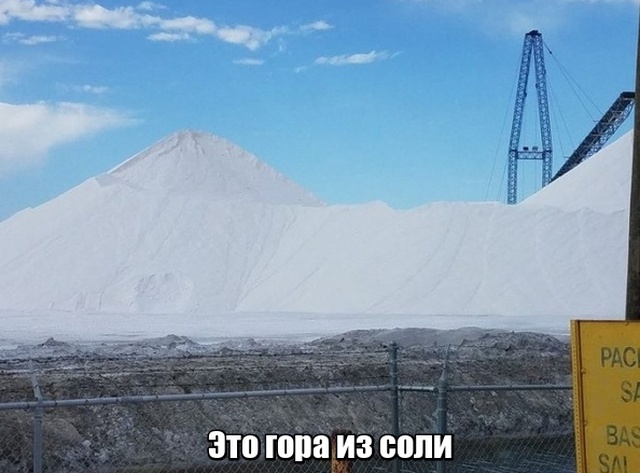 Мир никогда не прекратит удивлять нас