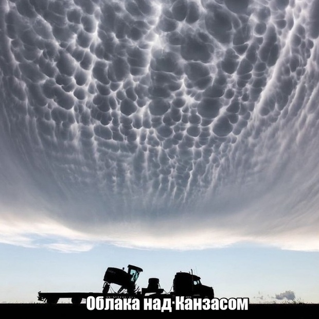 Мир никогда не прекратит удивлять нас