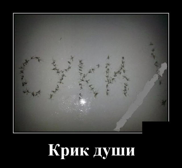 Демотиваторы