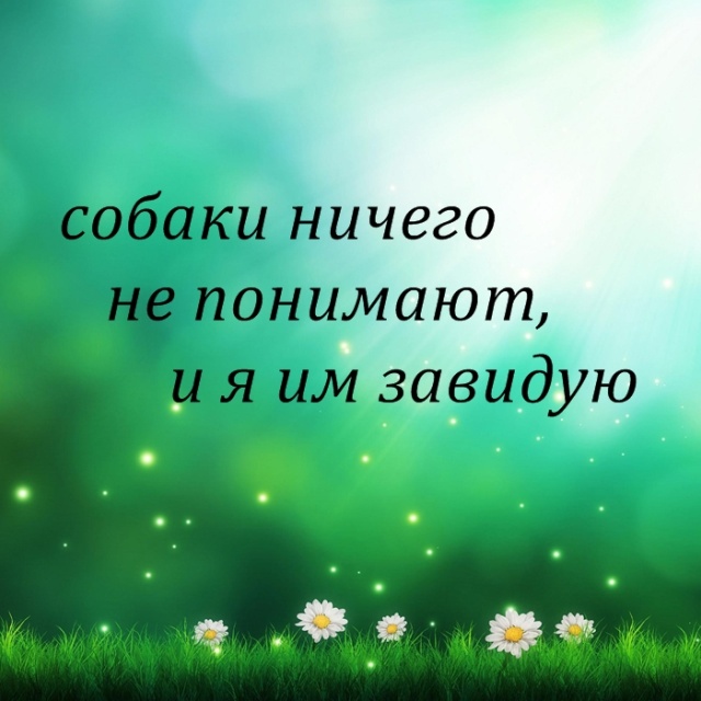 Циничные высказывания и правдивые цитаты