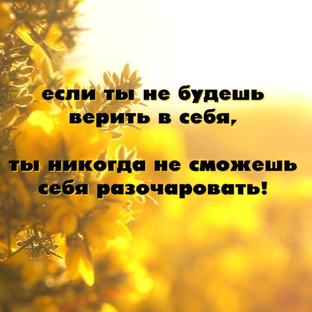 Циничные высказывания и правдивые цитаты