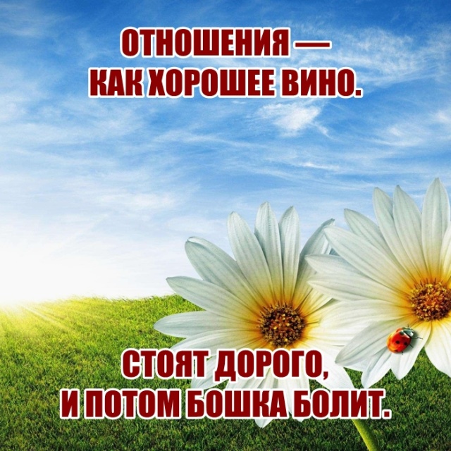 Циничные высказывания и правдивые цитаты