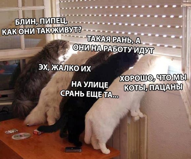 Высказывания и мысли пользователей социальных сетей