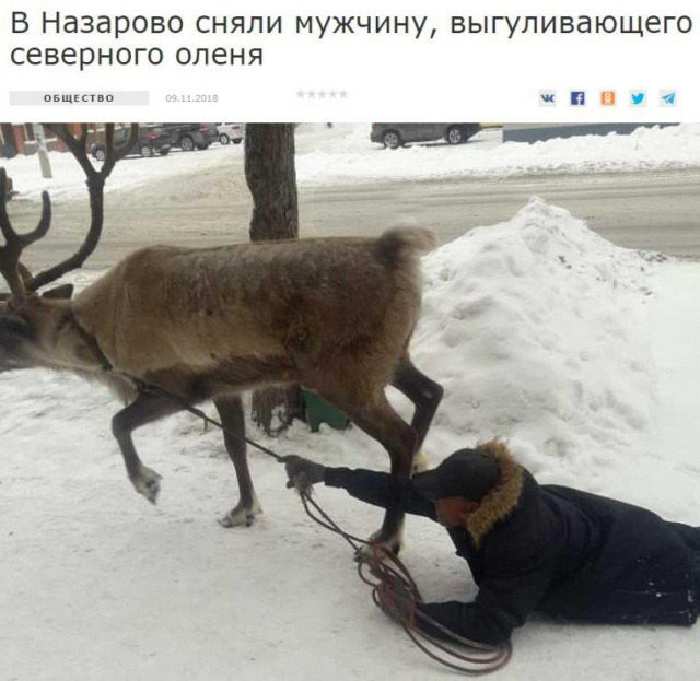 Странные новости со смешными заголовками