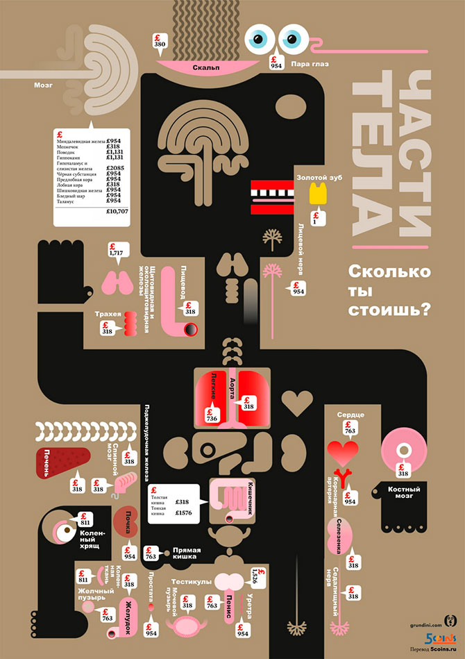 Познавательная инфографика