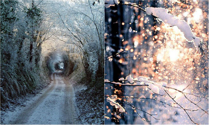 20 фотографий о том, что Новый год — самый душевный праздник в мире