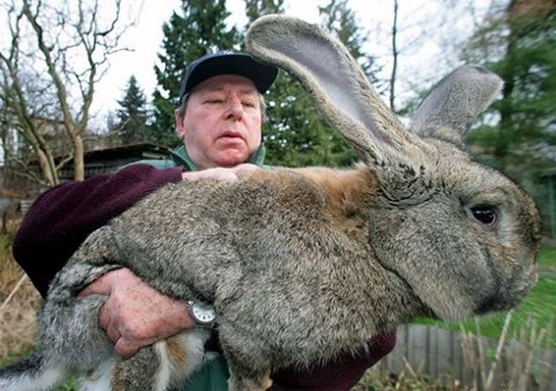 20 изображений которые, как в это ни трудно поверить, сделаны без фотошопа 20 изображений которые, как в это ни трудно поверить, сделаны без фотошопа