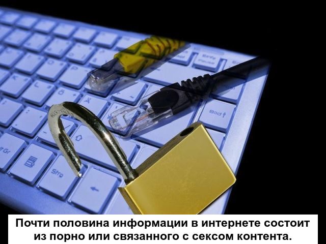 Любопытные факты о порно