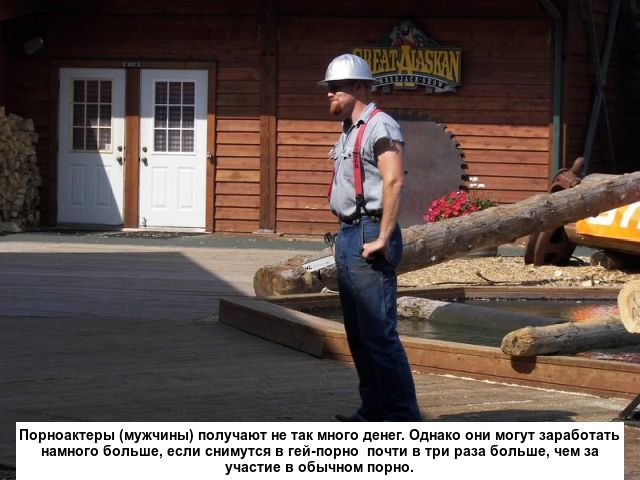 Любопытные факты о порно
