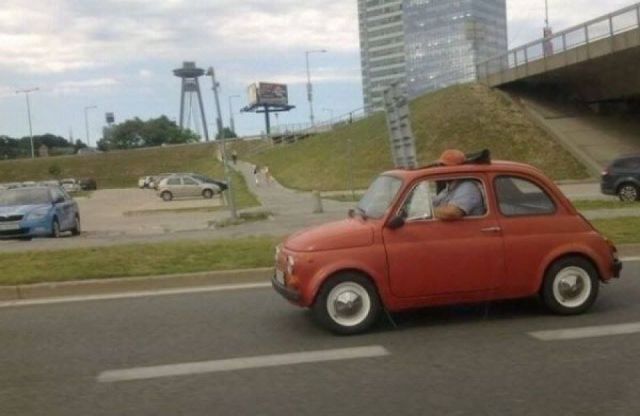 Прикольные картинки (57 фото)