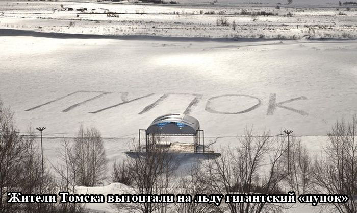Порция картинок