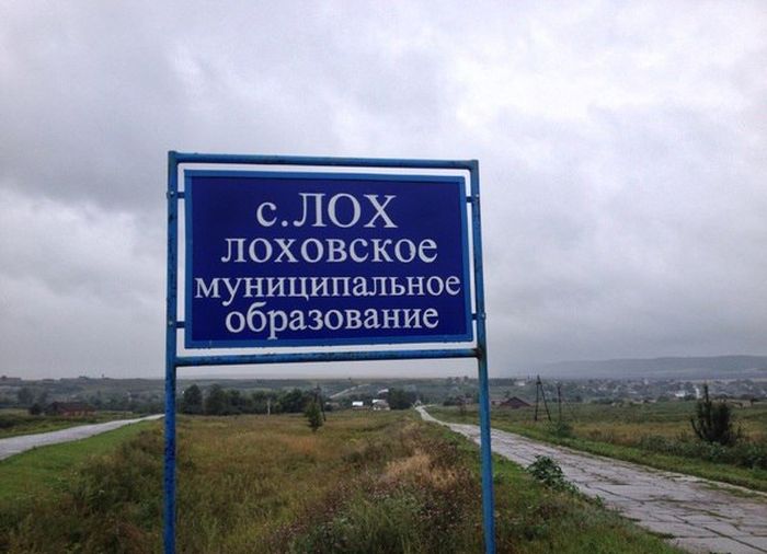 Порция картинок