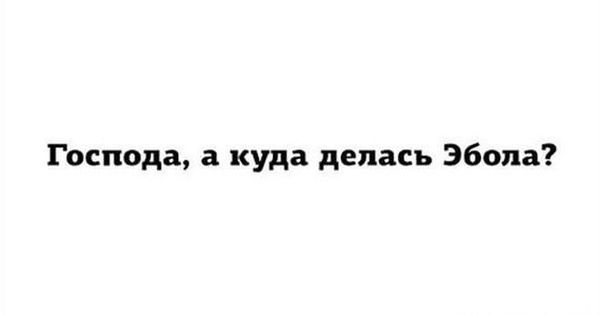 Порция картинок
