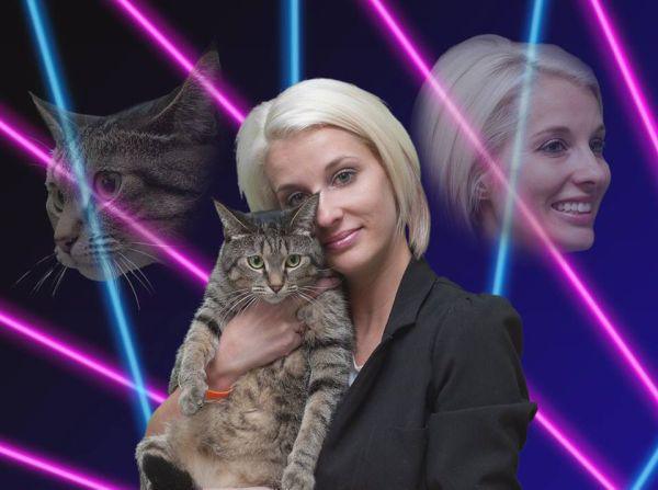 Симпатичные и забавные котики