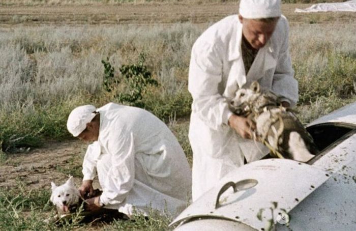 Подборка редких фотографий со всего мира. Часть 85 Подборка редких фотографий со всего мира. Часть 85