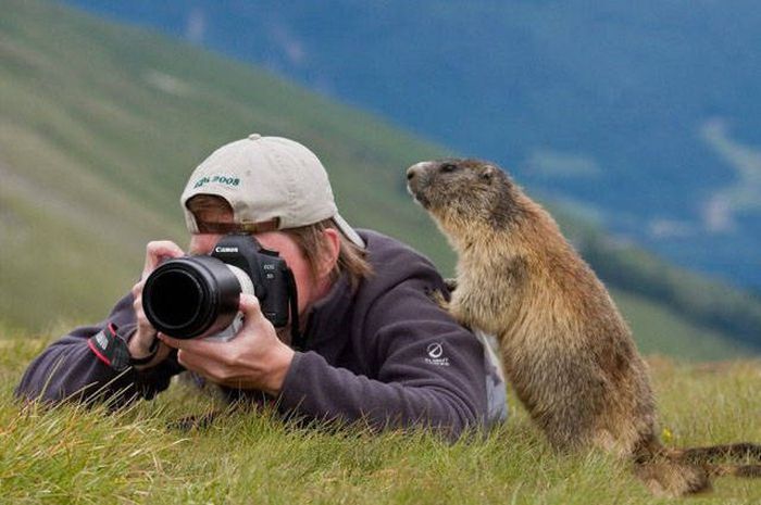 Фотографом быть нелегко
