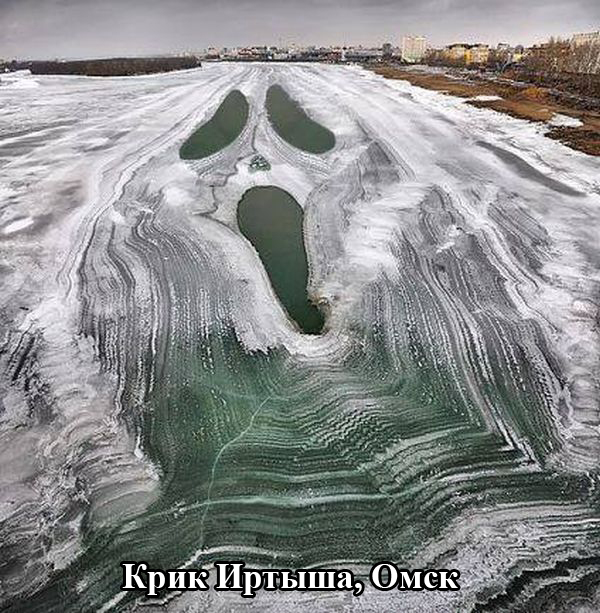 Порция картинок