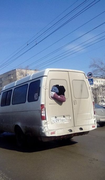 Порция картинок