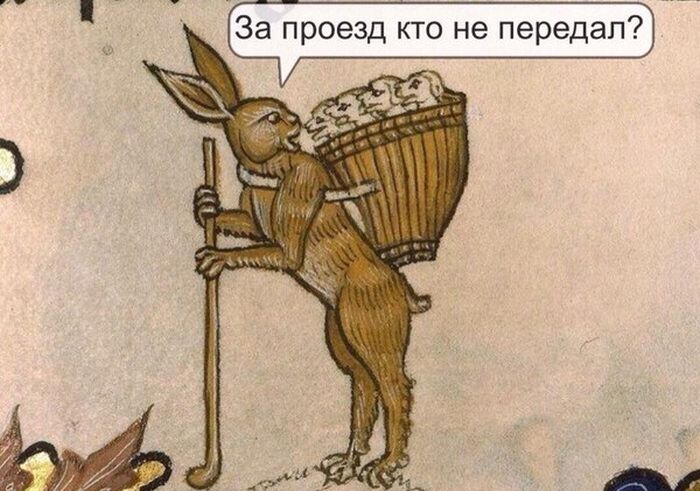 Порция картинок