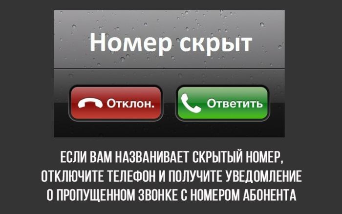 Порция картинок