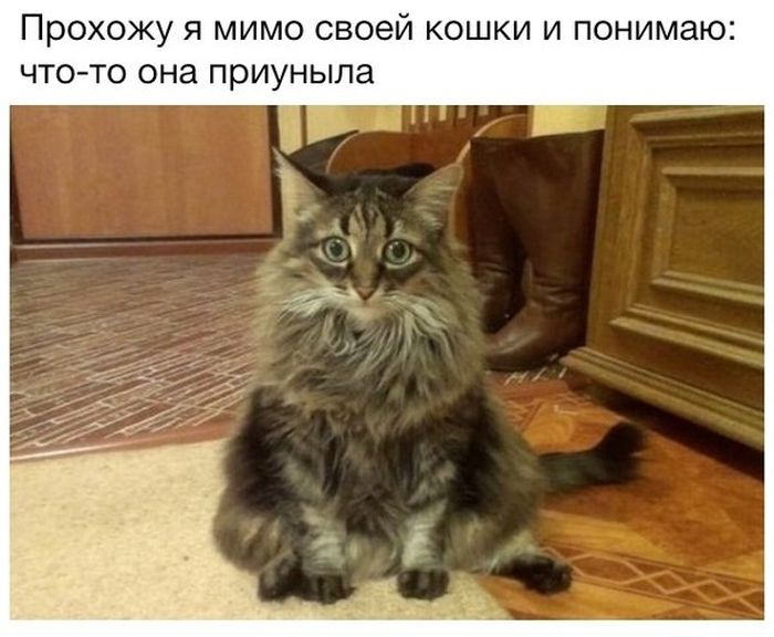Порция картинок