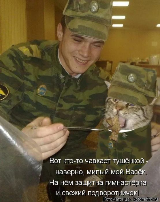 Лучшие котоматрицы недели