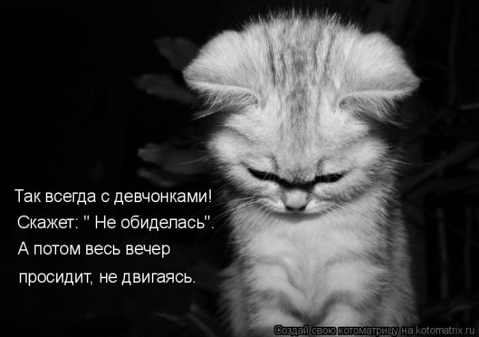 Лучшие котоматрицы недели