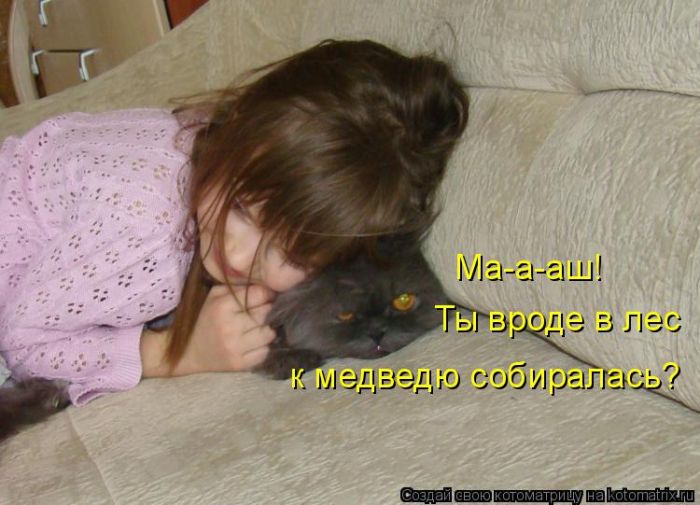 Лучшие котоматрицы недели